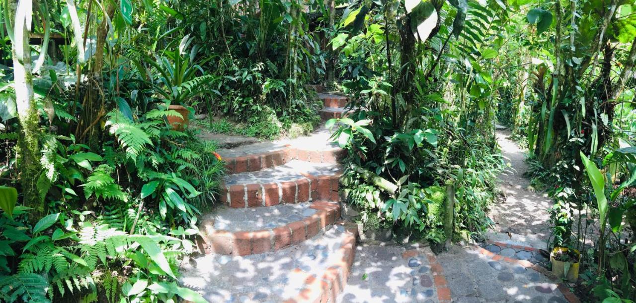 Cabañas Armonía y Jardín de Orquídeas Mindo Exterior foto