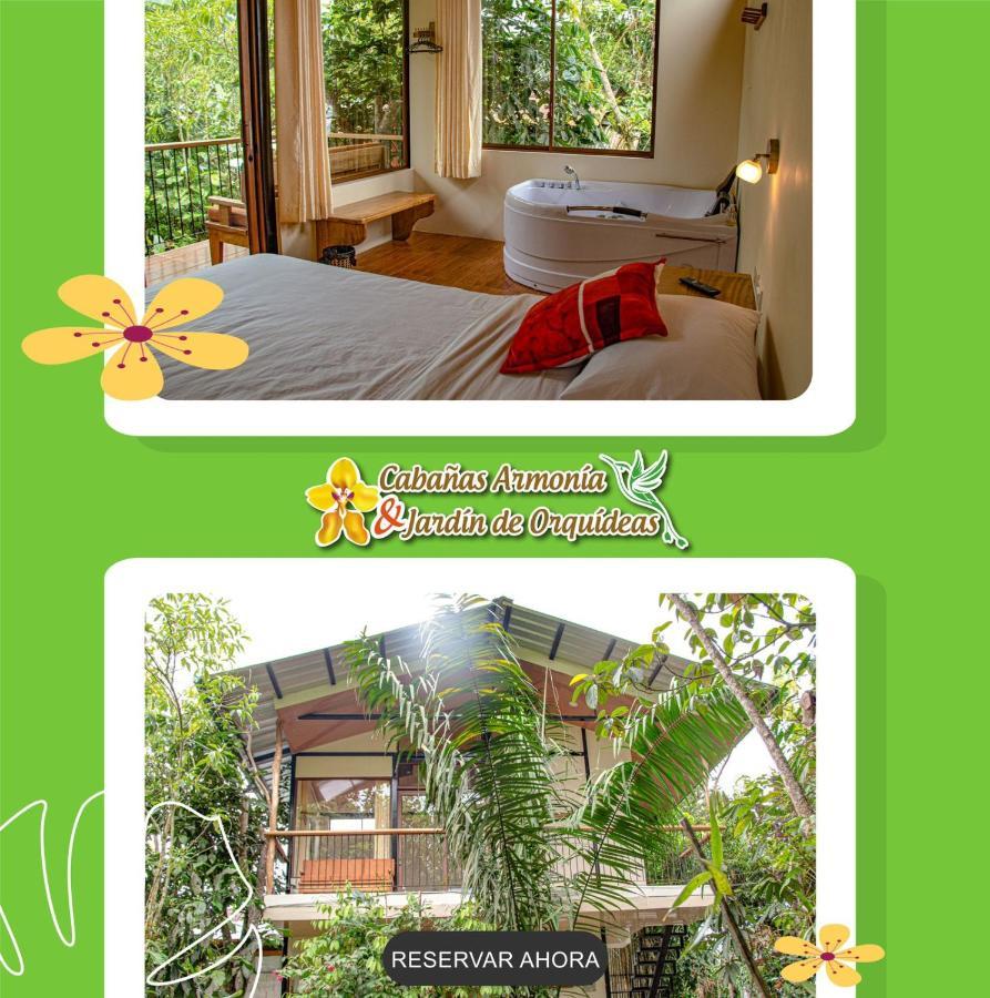 Cabañas Armonía y Jardín de Orquídeas Mindo Exterior foto